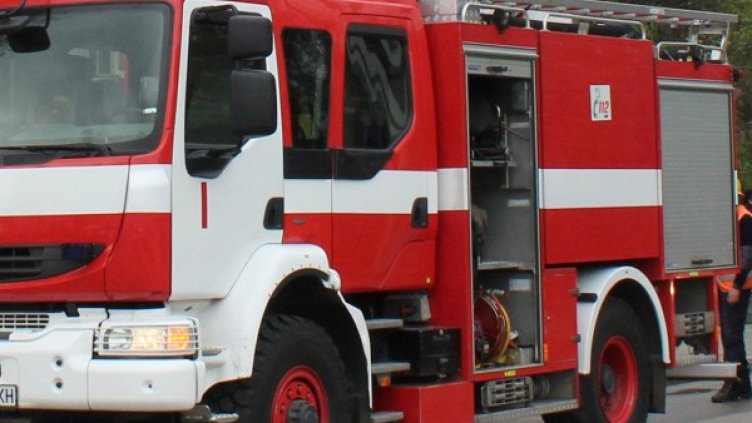 Снимка: Архив, Булфото