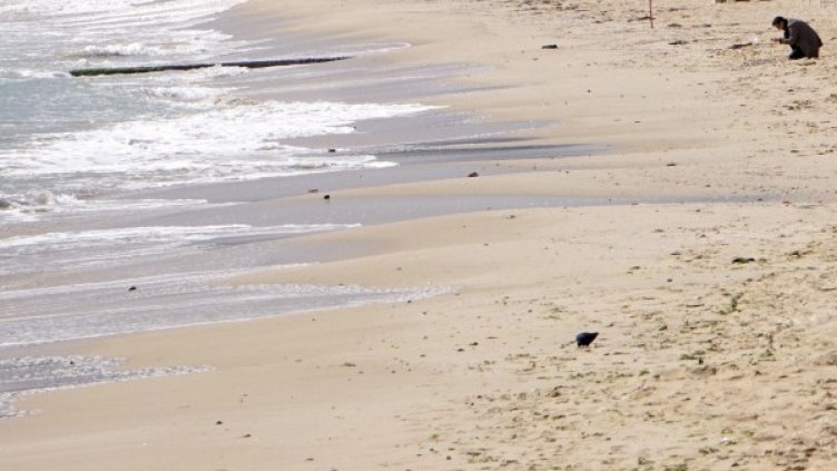 Снимка: Булфото, архив