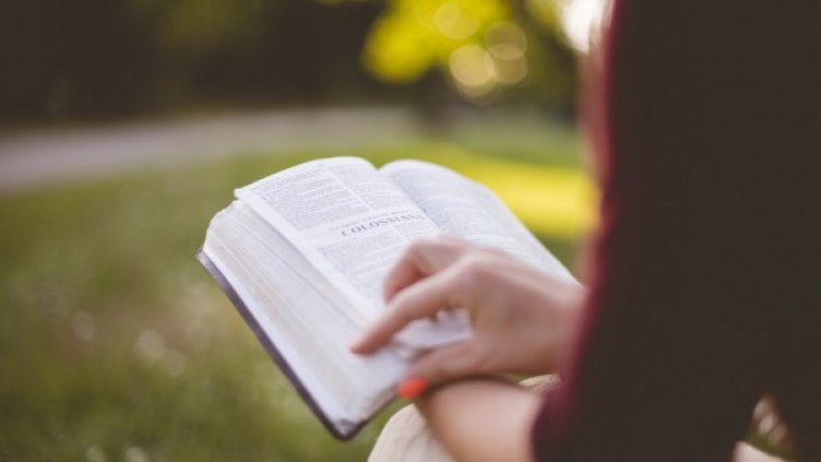 Снимка: Pixabay