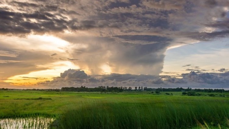 Снимка: Pixabay