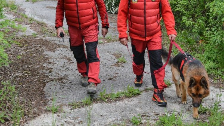 Архив: Булфото