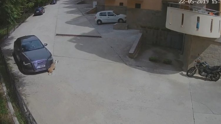 Снимка: Facebook