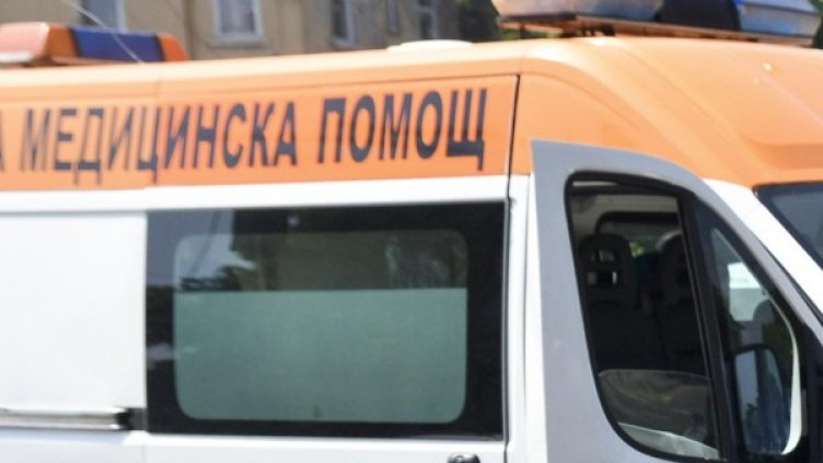 Снимка: архив Bulphoto