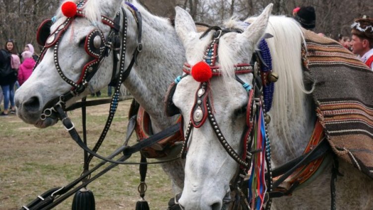 Снимка: архив "Булфото"