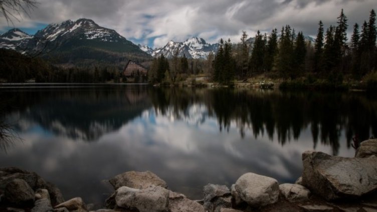 Снимка: Pexels