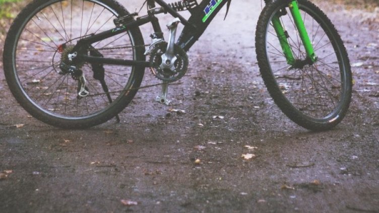 Снимка: pixabay.com