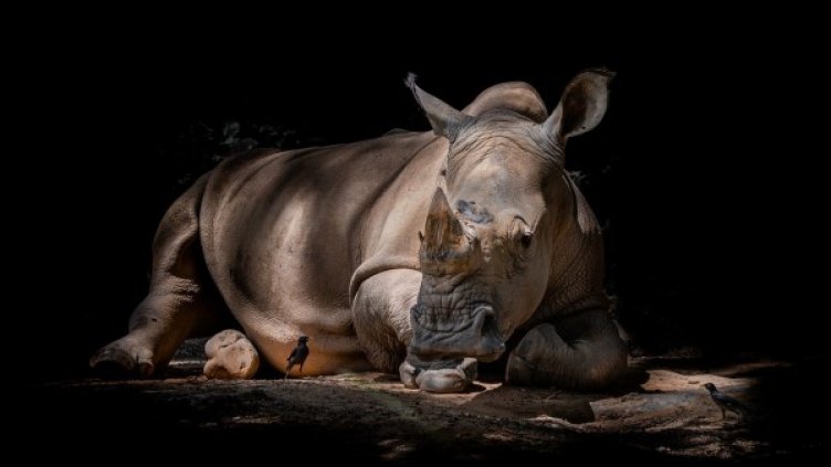 Снимка: Pixabay