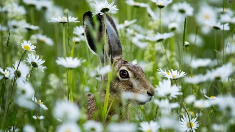 Денят в снимки - 27 май
