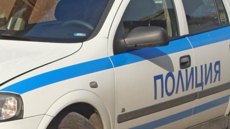 Снимка: Архив, Булфото