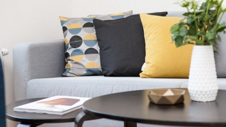 Снимка: pexels