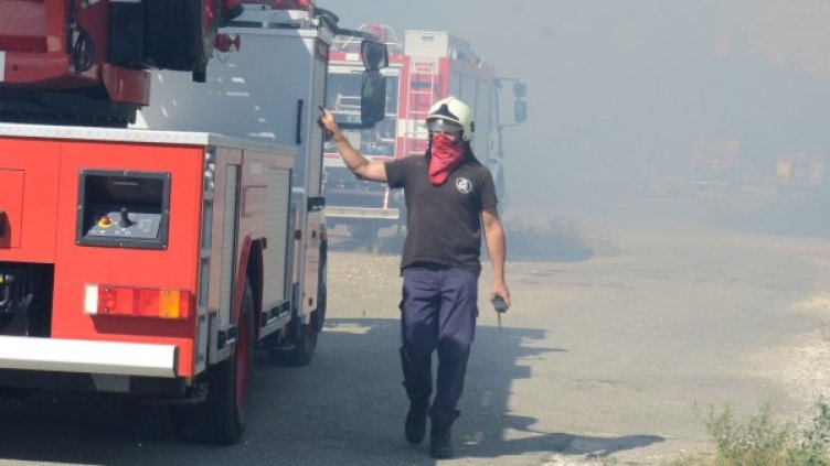 Снимка: Архив, Булфото