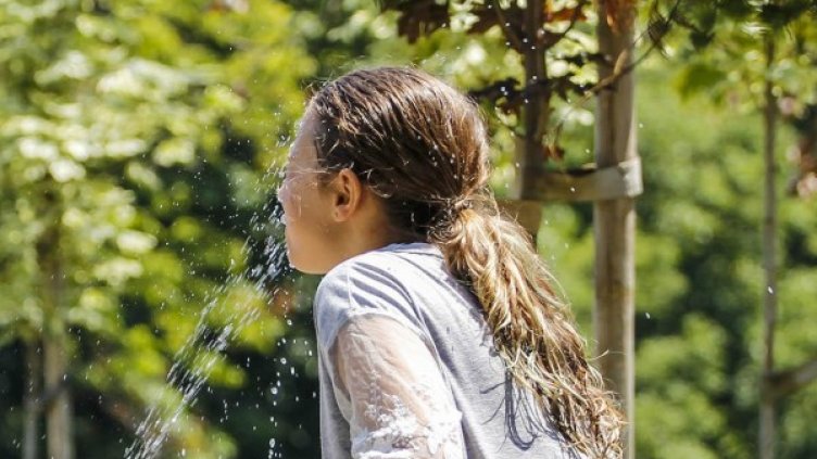 Снимка: архив, Булфото