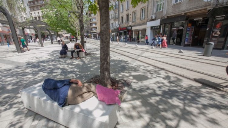 Снимка: Димитър Кьосемарлиев, Dnes.bg