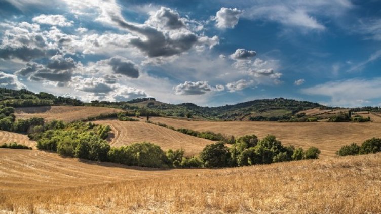 Снимка: Pixabay