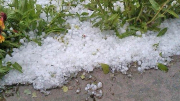 Архив: Булфото