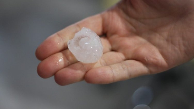 Снимка: БулФото