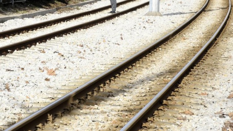 Снимка: БулФото