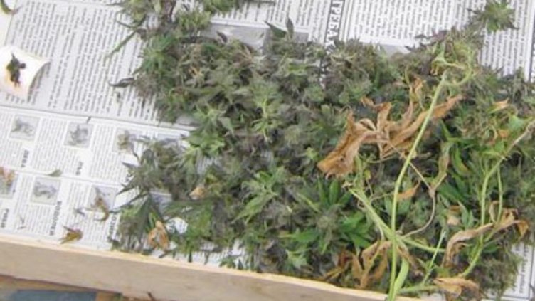 Снимка: Булфото