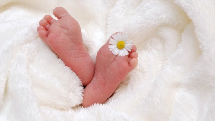 Снимка: pixabay.com