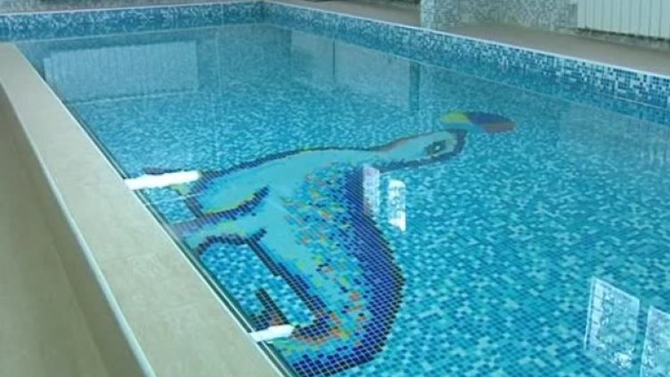 Снимка: Bulgaria ON AIR