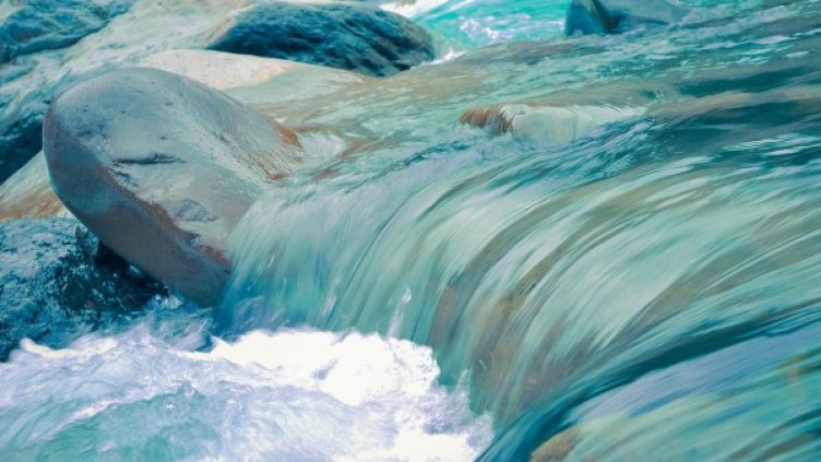 Снимка: Pixabay