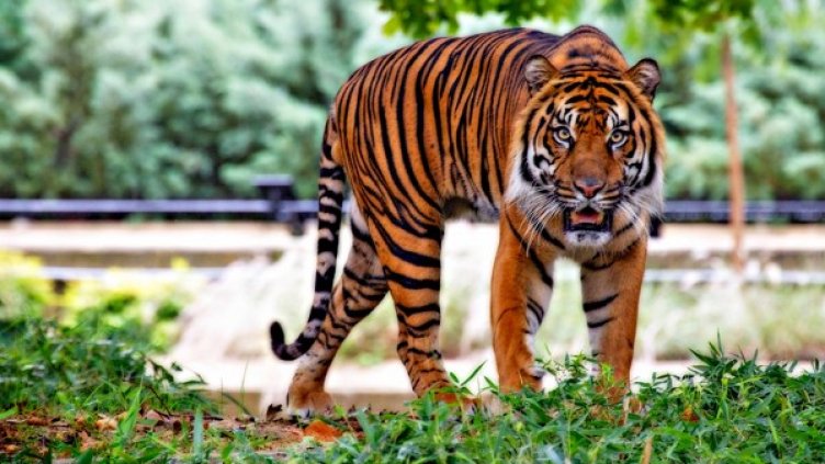 Снимка: pexels