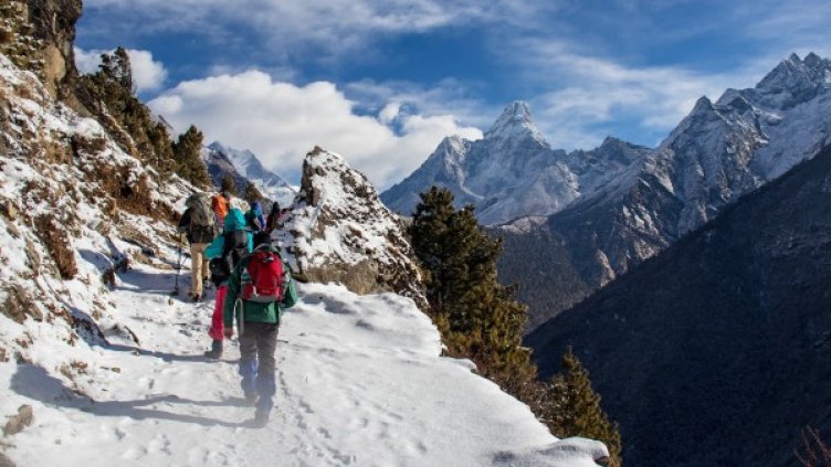 Снимка: Pixabay