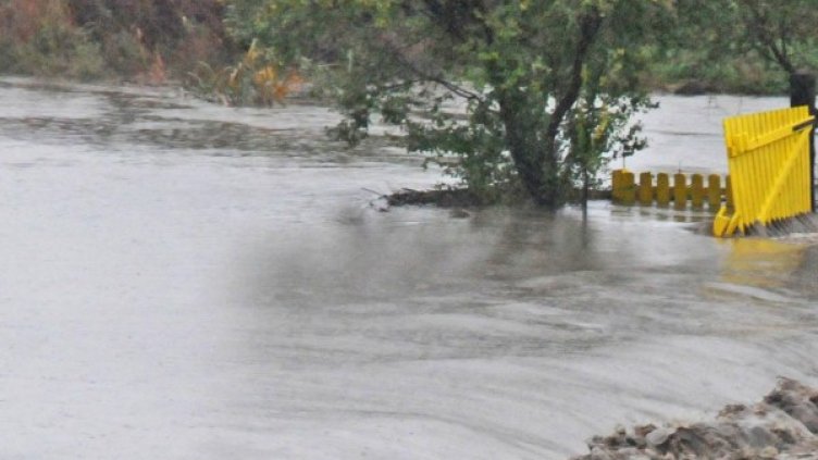 Архив: Булфото