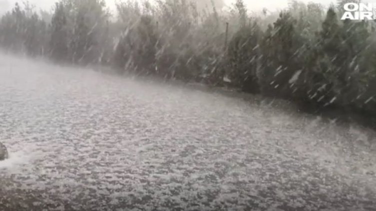 Архив: Bulgaria ON AIR