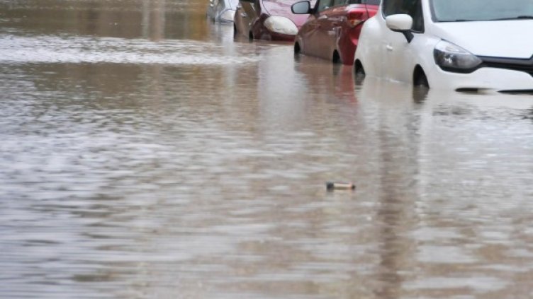 Архив: Булфото