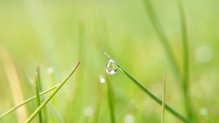 Снимка: Pixabay