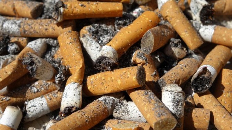 Снимка: Pixabay