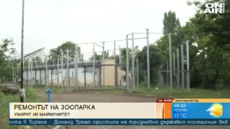 Снимка: Кадър Bulgaria ON AIR