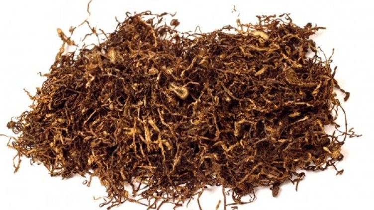 Снимка: pixabay