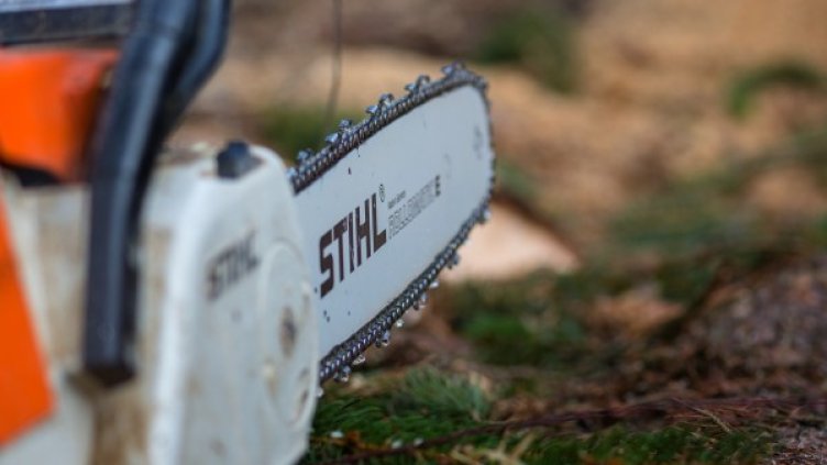 Снимка: архив, Булфото