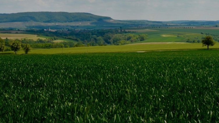 Снимка: Pixabay