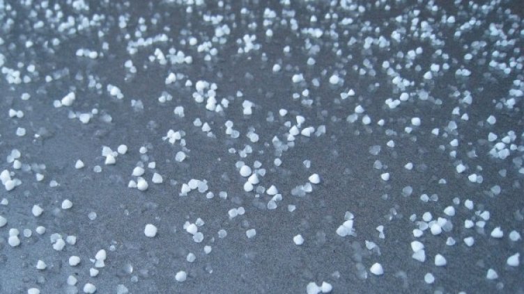 Снимка: архив "Булфото"