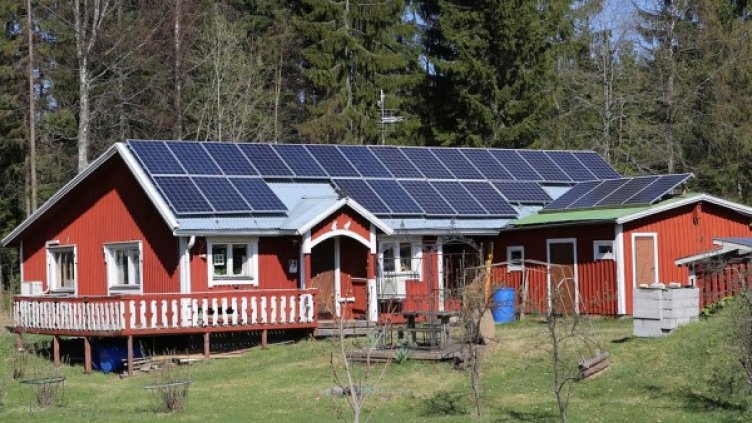 Снимка: pixabay