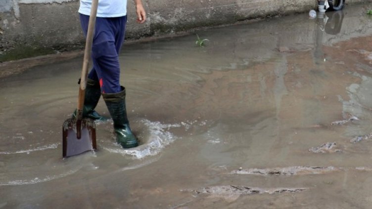 Снимка: Архив, Булфото