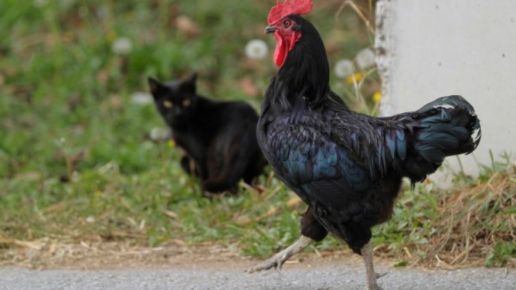 Снимка: архив, Reuters