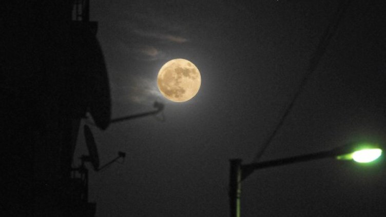 Снимка: архив "Булфото"