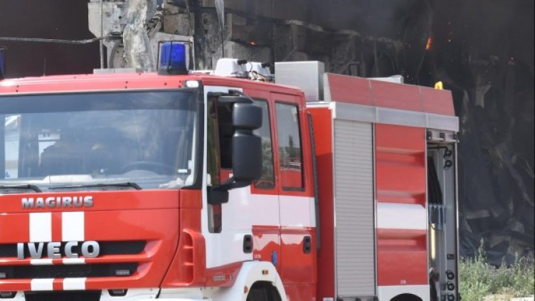 Архив: Булфото