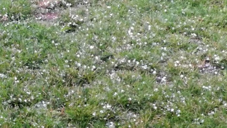 Снимка: Булфото