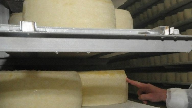 Снимка: архив, Булфото