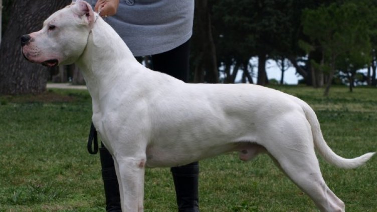 Снимка: pixaBay