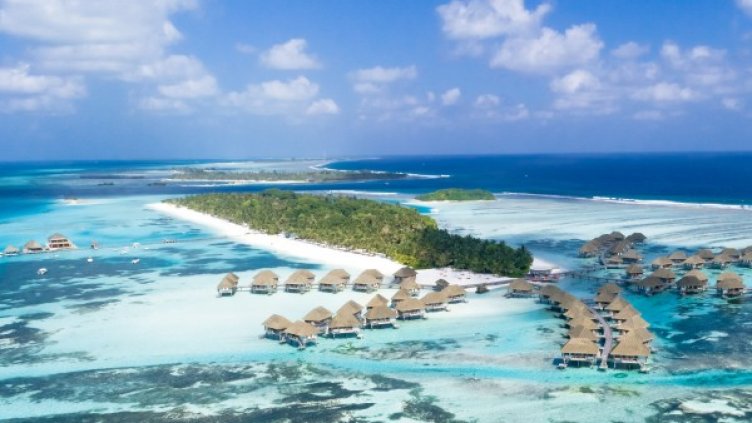 Снимка: pexels