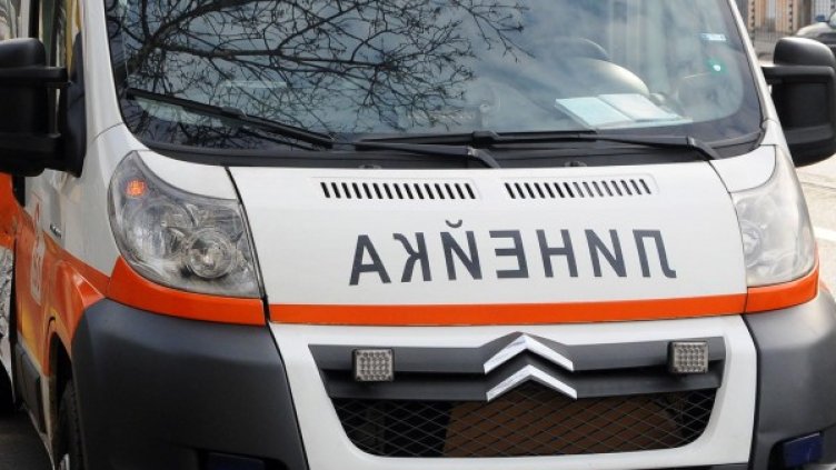 Снимка: архив, Булфото