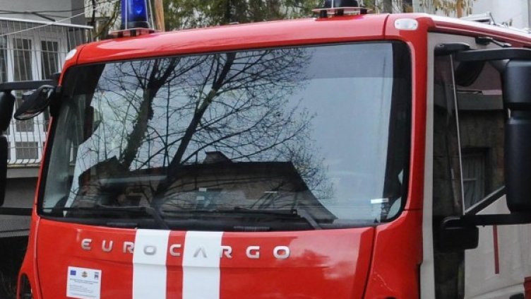 Снимка: архив, БулФото