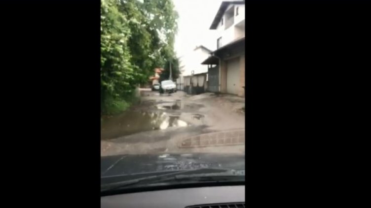 Снимка: Helpbook