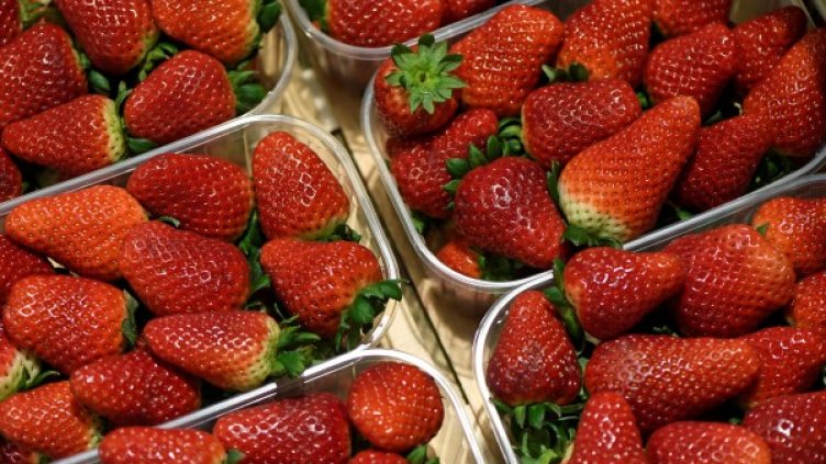 Снимка: архив, Reuters